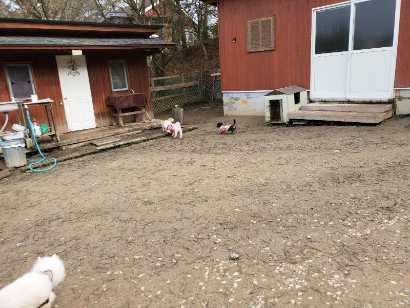 f:id:roukenhome-ann:20200115213620j:plain f:id:roukenhome-ann:20200115213620j:plain