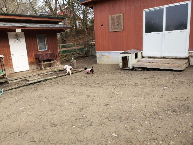 f:id:roukenhome-ann:20200115213645j:plain f:id:roukenhome-ann:20200115213645j:plain