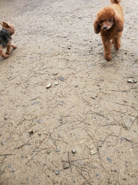 f:id:roukenhome-ann:20200117053900j:plain f:id:roukenhome-ann:20200117053900j:plain