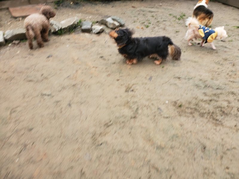 f:id:roukenhome-ann:20200117074626j:plain f:id:roukenhome-ann:20200117074626j:plain