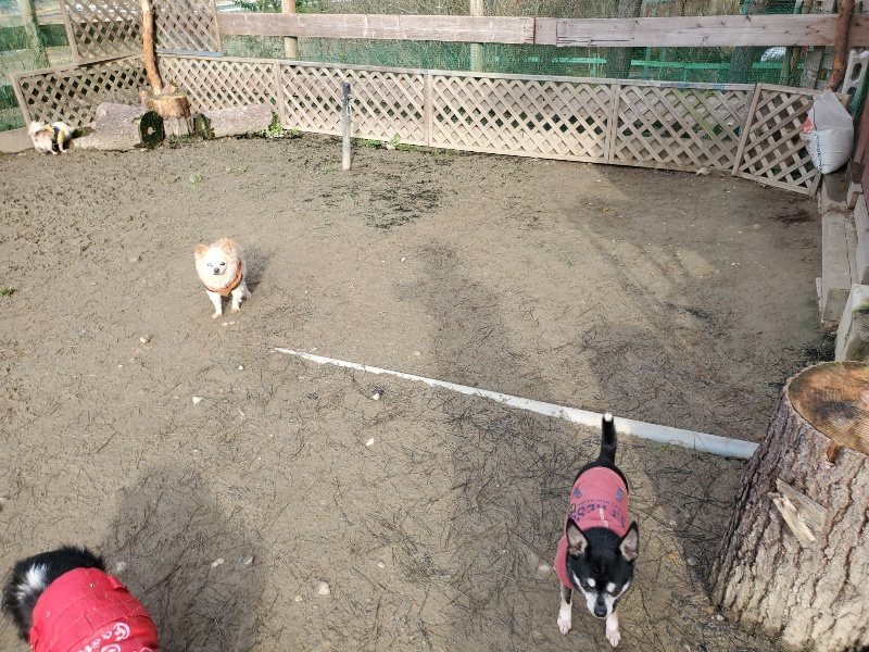 f:id:roukenhome-ann:20200117221326j:plain f:id:roukenhome-ann:20200117221326j:plain