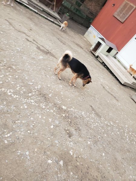 f:id:roukenhome-ann:20200119193147j:plain
