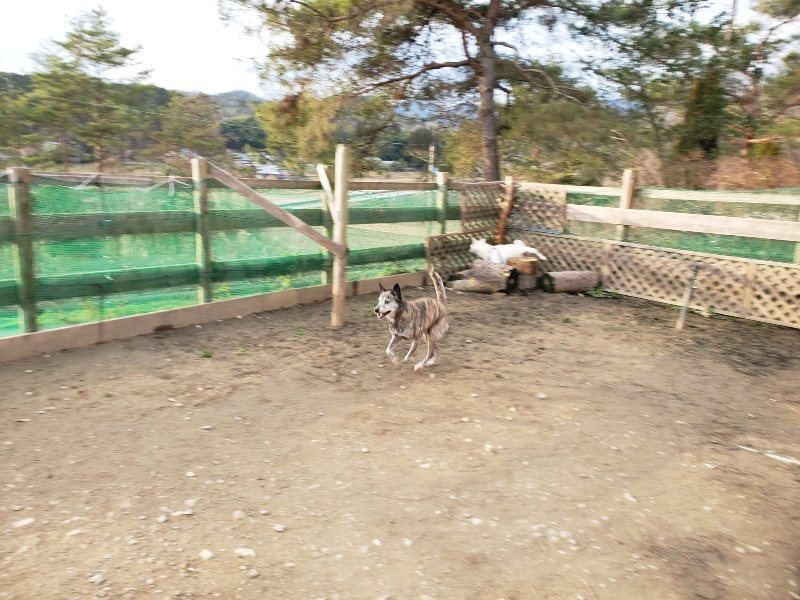 f:id:roukenhome-ann:20200120052954j:plain