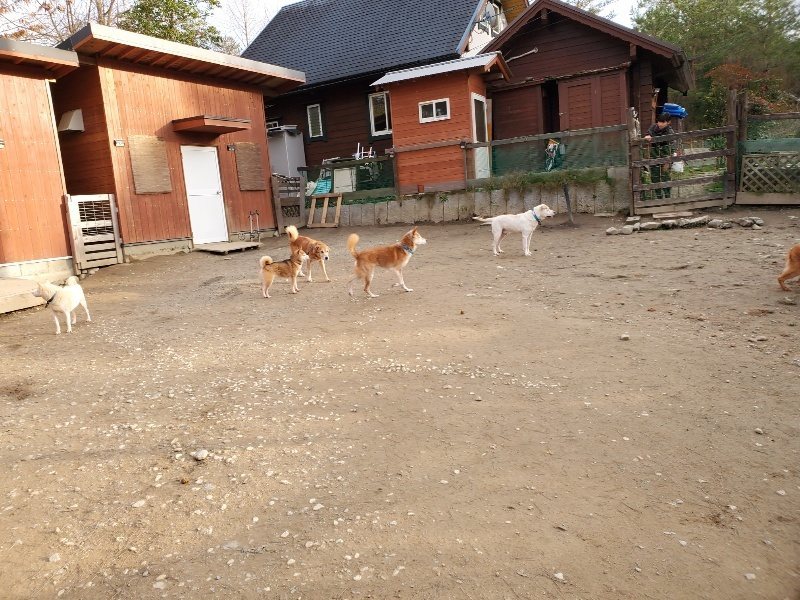 f:id:roukenhome-ann:20200120053151j:plain