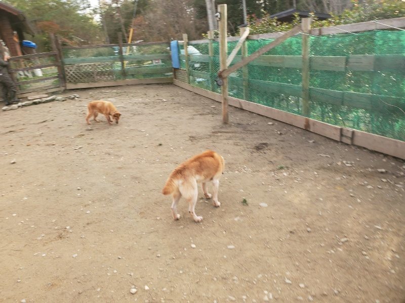 f:id:roukenhome-ann:20200120053217j:plain