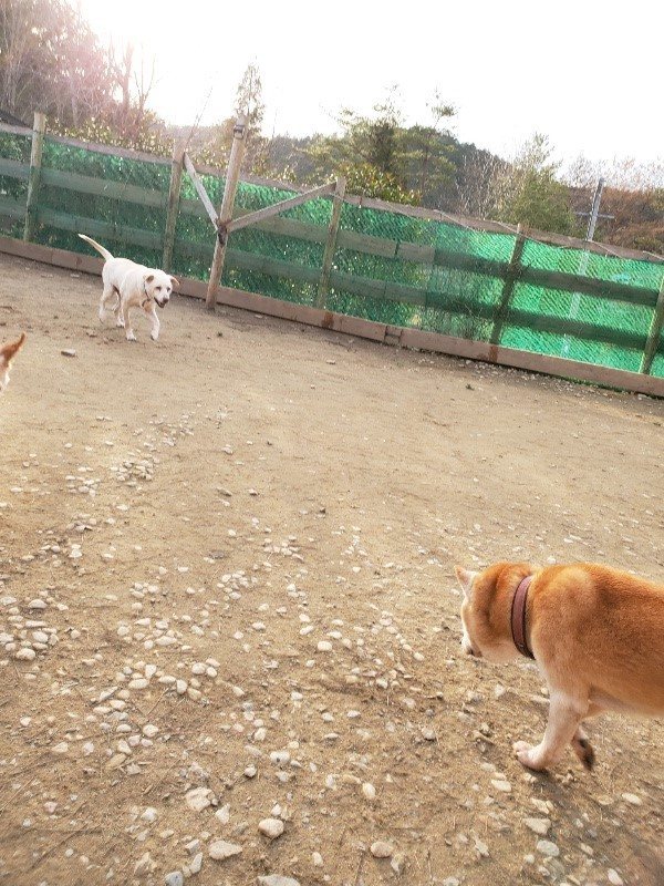 f:id:roukenhome-ann:20200120054105j:plain