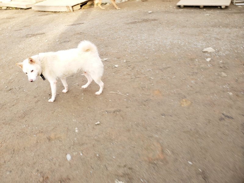 f:id:roukenhome-ann:20200120054212j:plain