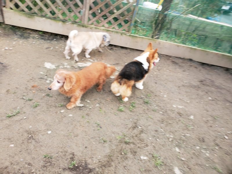 f:id:roukenhome-ann:20200120071556j:plain