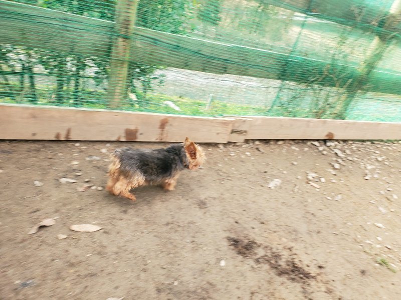 f:id:roukenhome-ann:20200120071632j:plain