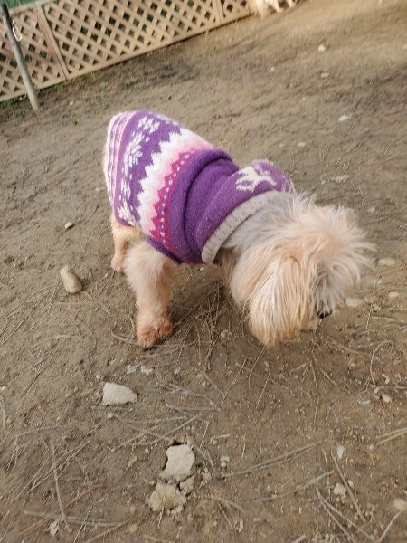 f:id:roukenhome-ann:20200120072115j:plain