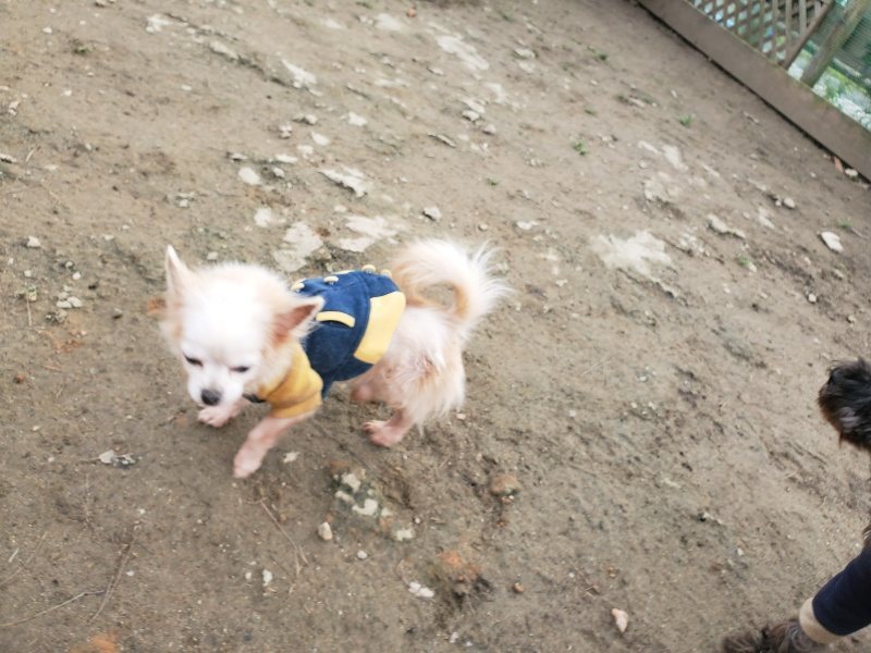 f:id:roukenhome-ann:20200120073203j:plain