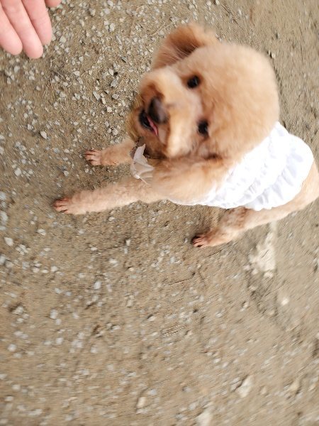 f:id:roukenhome-ann:20200120073645j:plain