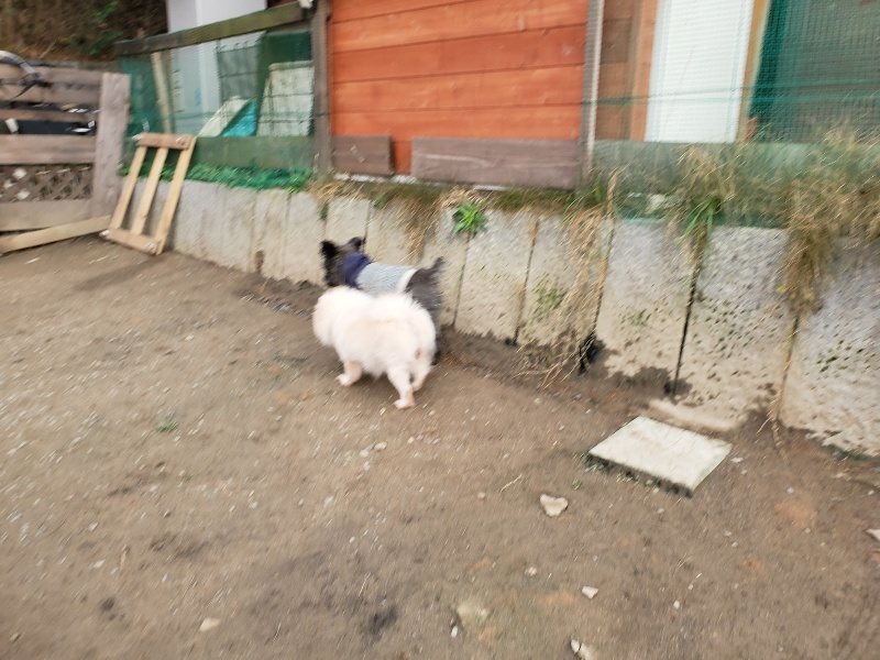 f:id:roukenhome-ann:20200120073749j:plain
