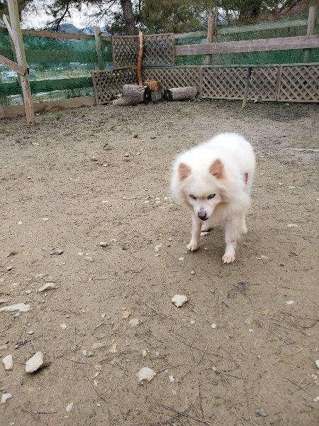 f:id:roukenhome-ann:20200123124723j:plain