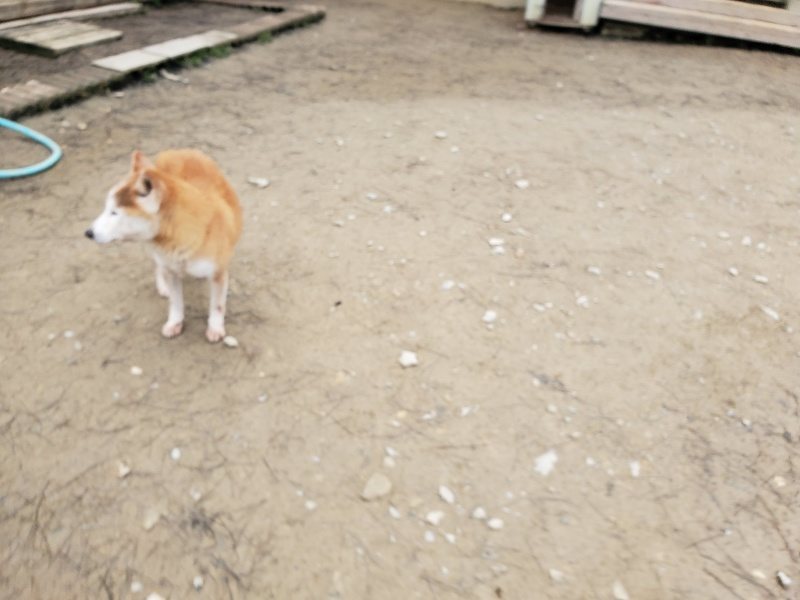 f:id:roukenhome-ann:20200123124749j:plain