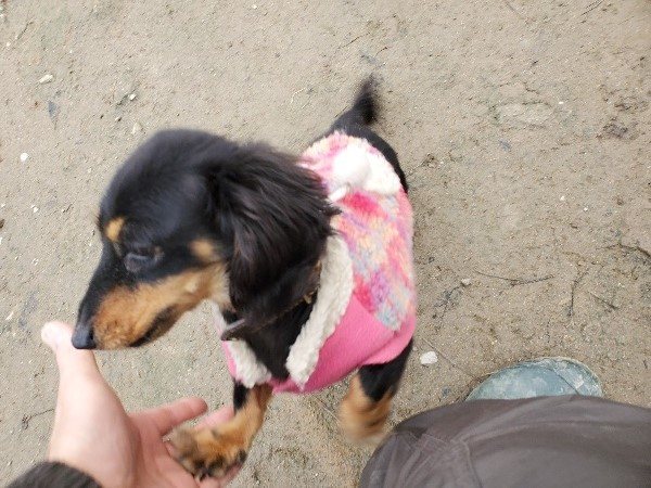 f:id:roukenhome-ann:20200123125512j:plain