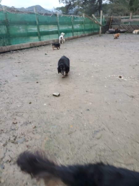 f:id:roukenhome-ann:20200123213050j:plain