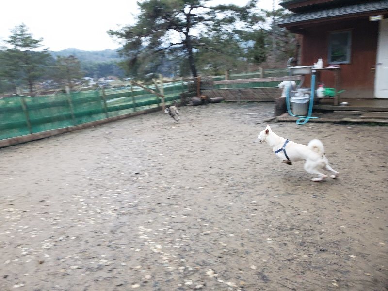 f:id:roukenhome-ann:20200123213725j:plain