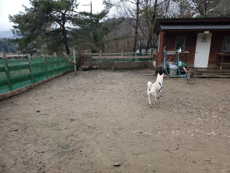 f:id:roukenhome-ann:20200123213750j:plain