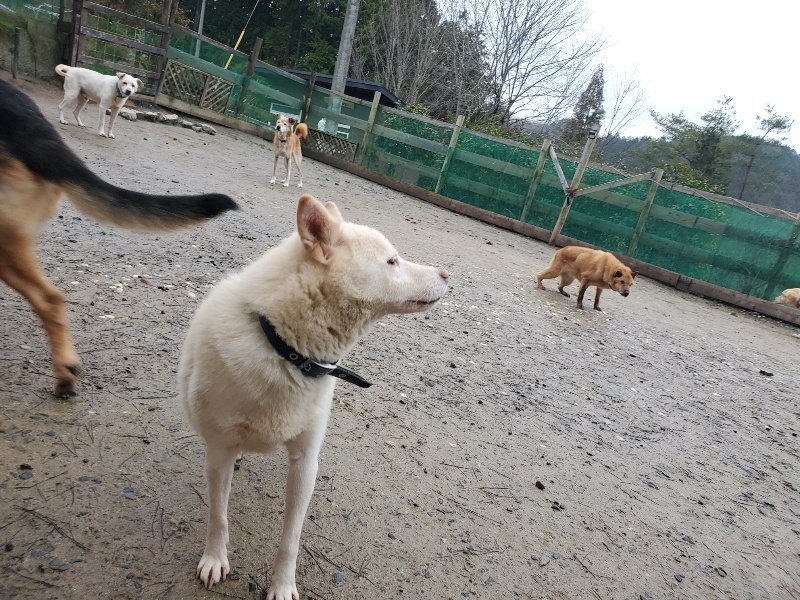 f:id:roukenhome-ann:20200123214649j:plain