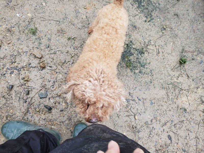 f:id:roukenhome-ann:20200124053550j:plain