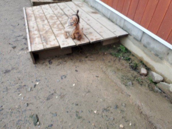 f:id:roukenhome-ann:20200124071312j:plain