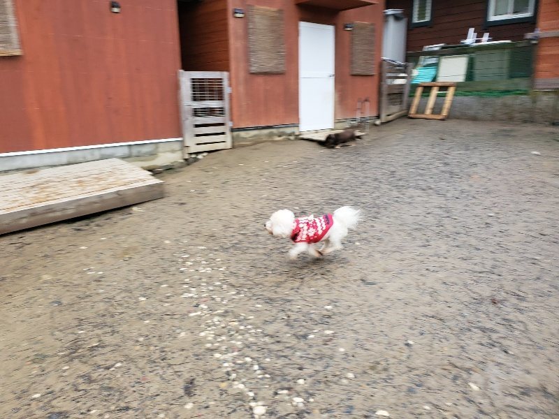 f:id:roukenhome-ann:20200124071911j:plain