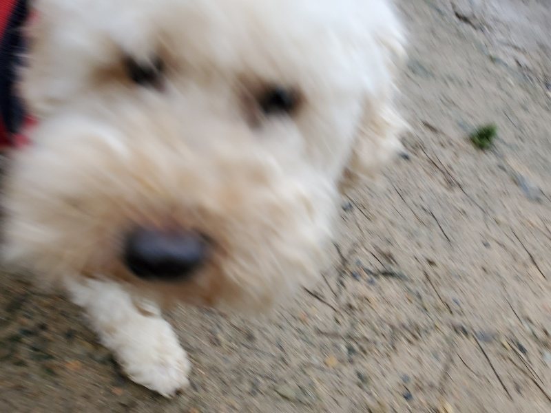 f:id:roukenhome-ann:20200124073632j:plain