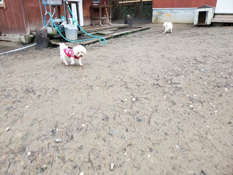 f:id:roukenhome-ann:20200124073810j:plain