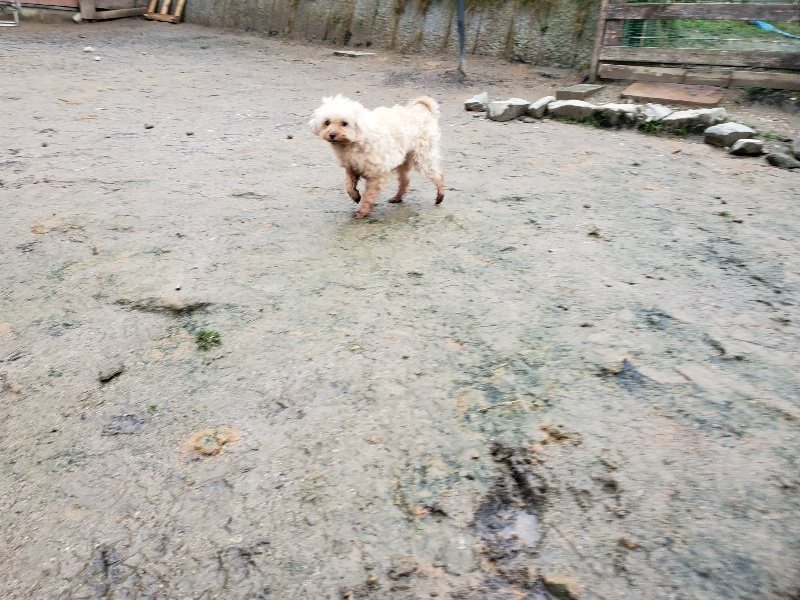 f:id:roukenhome-ann:20200124074112j:plain