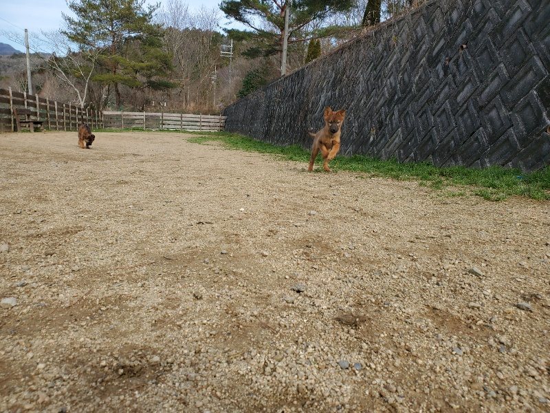 f:id:roukenhome-ann:20200126210816j:plain