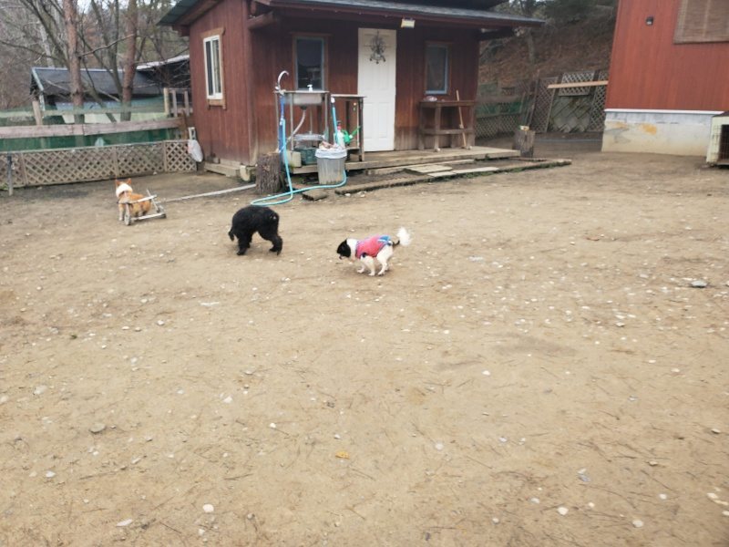 f:id:roukenhome-ann:20200127071518j:plain