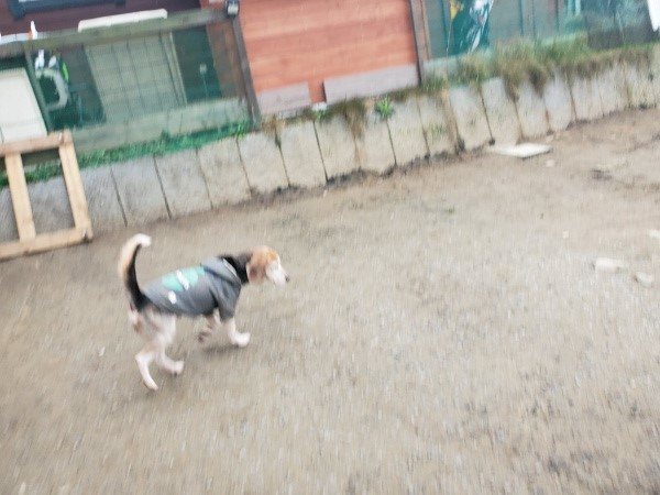 f:id:roukenhome-ann:20200127072554j:plain