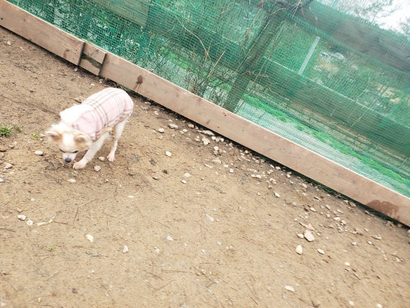 f:id:roukenhome-ann:20200127072856j:plain