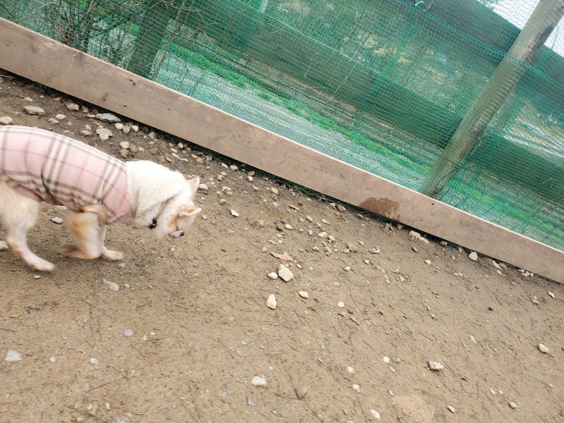 f:id:roukenhome-ann:20200127072917j:plain