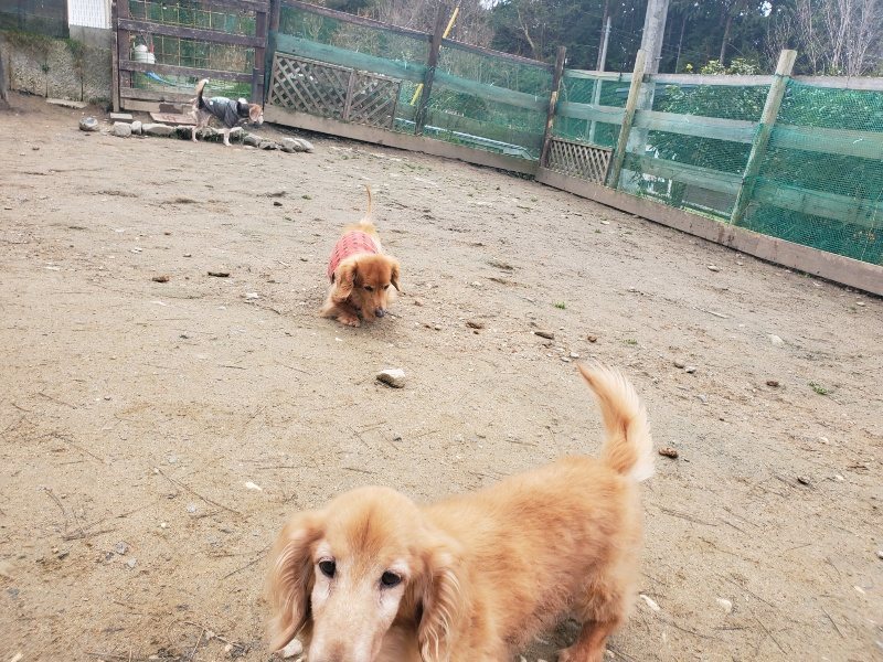 f:id:roukenhome-ann:20200127073244j:plain