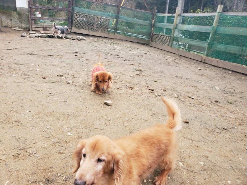 f:id:roukenhome-ann:20200127073300j:plain