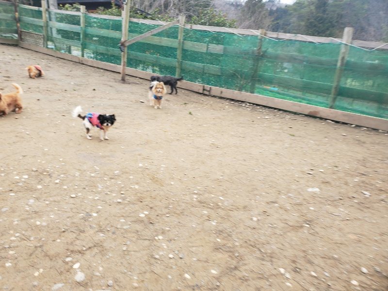 f:id:roukenhome-ann:20200127073601j:plain