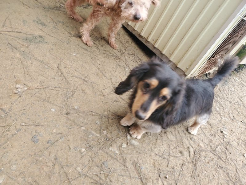 f:id:roukenhome-ann:20200127074441j:plain