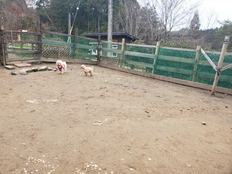 f:id:roukenhome-ann:20200127075203j:plain