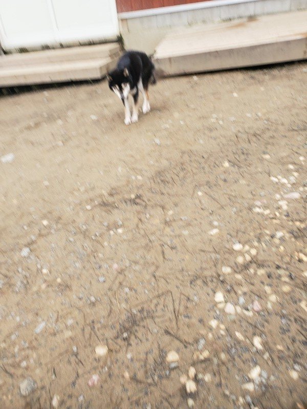 f:id:roukenhome-ann:20200127075311j:plain