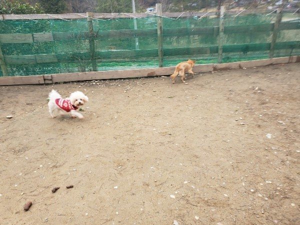 f:id:roukenhome-ann:20200127075647j:plain