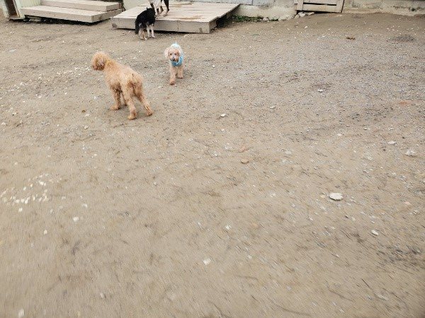 f:id:roukenhome-ann:20200127075701j:plain