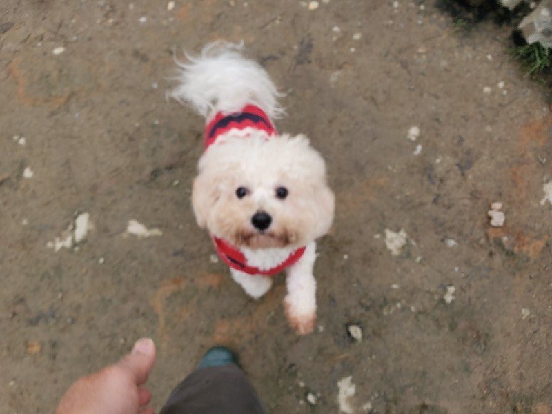 f:id:roukenhome-ann:20200127075811j:plain