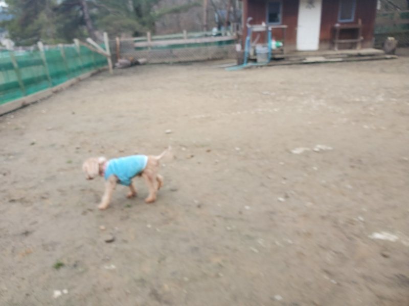f:id:roukenhome-ann:20200127083226j:plain