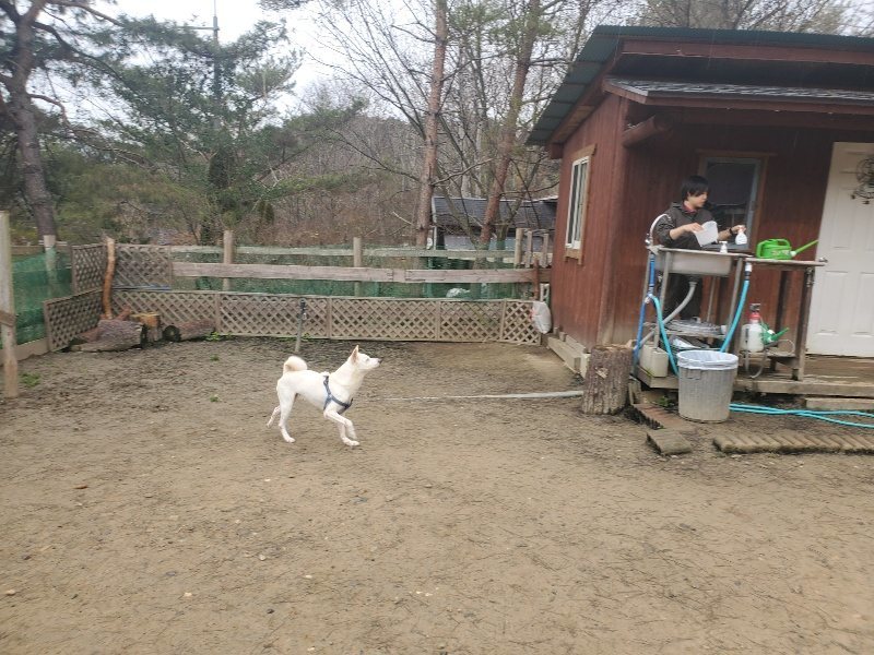 f:id:roukenhome-ann:20200127143100j:plain