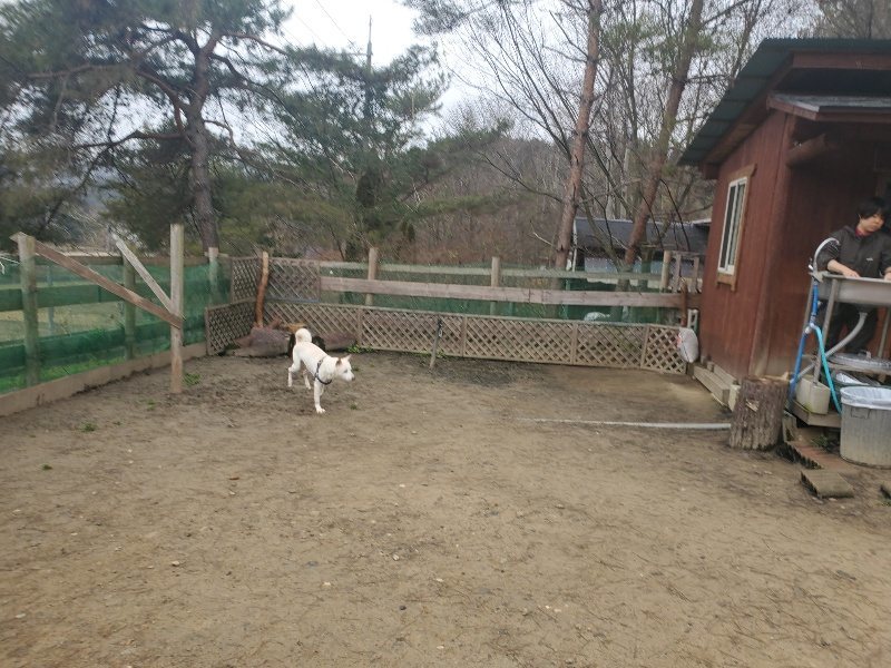 f:id:roukenhome-ann:20200127143111j:plain