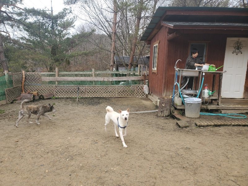 f:id:roukenhome-ann:20200127143123j:plain