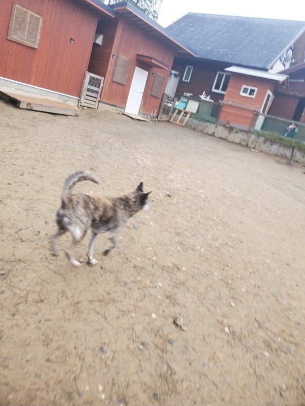 f:id:roukenhome-ann:20200127143552j:plain