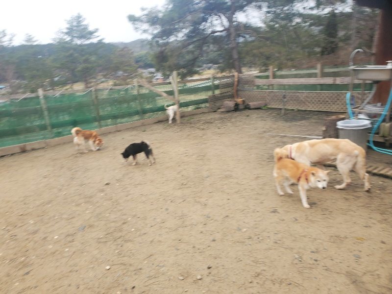 f:id:roukenhome-ann:20200127144225j:plain